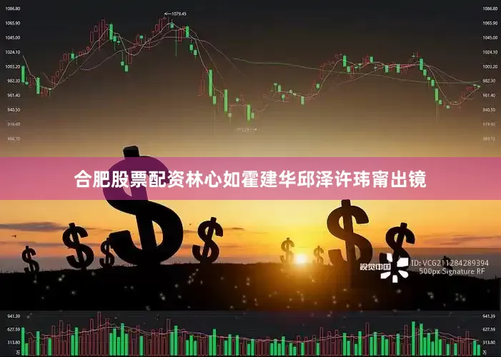 合肥股票配资林心如霍建华邱泽许玮甯出镜