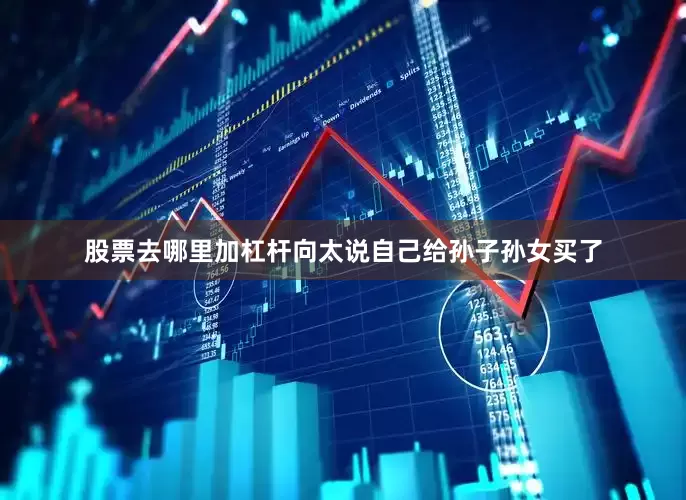 股票去哪里加杠杆向太说自己给孙子孙女买了