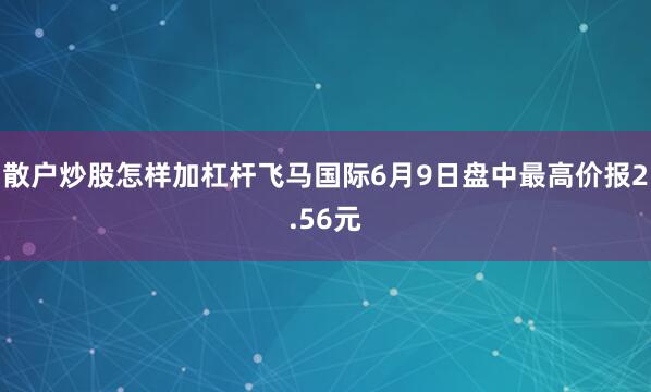 散户炒股怎样加杠杆飞马国际6月9日盘中最高价报2.56元