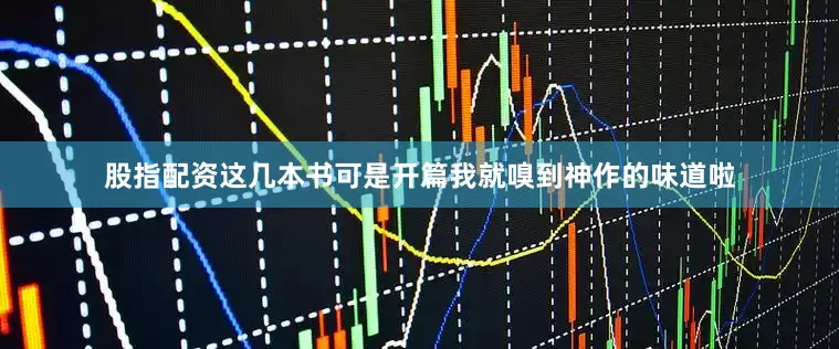 股指配资这几本书可是开篇我就嗅到神作的味道啦