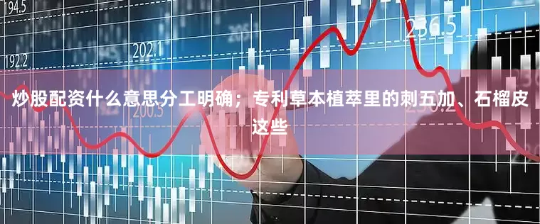 炒股配资什么意思分工明确；专利草本植萃里的刺五加、石榴皮这些