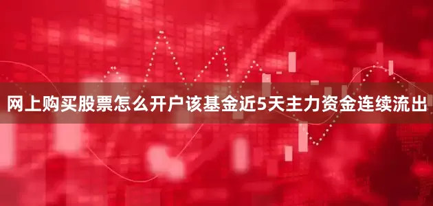 网上购买股票怎么开户该基金近5天主力资金连续流出