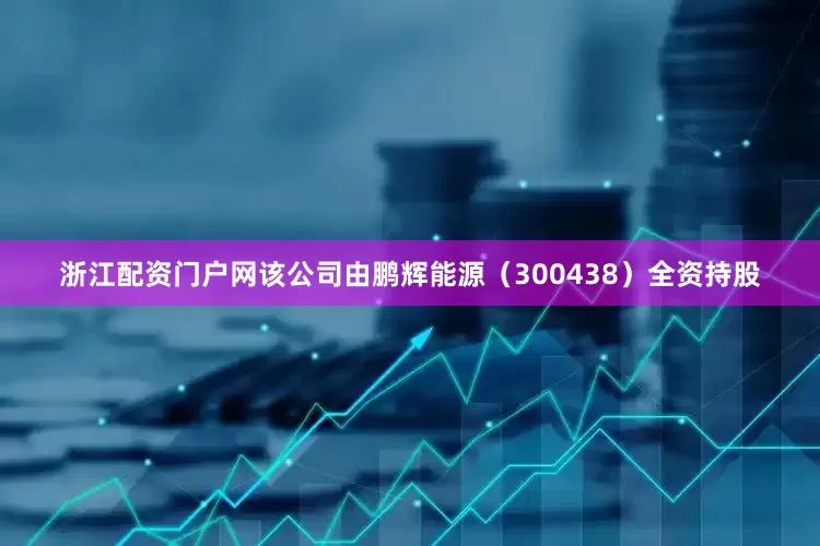 浙江配资门户网该公司由鹏辉能源（300438）全资持股